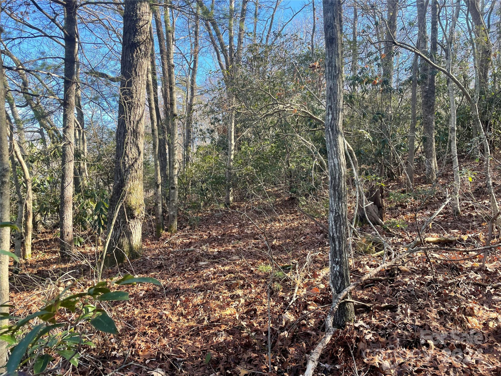 146 Center Street #9 & 10 - Photo 4