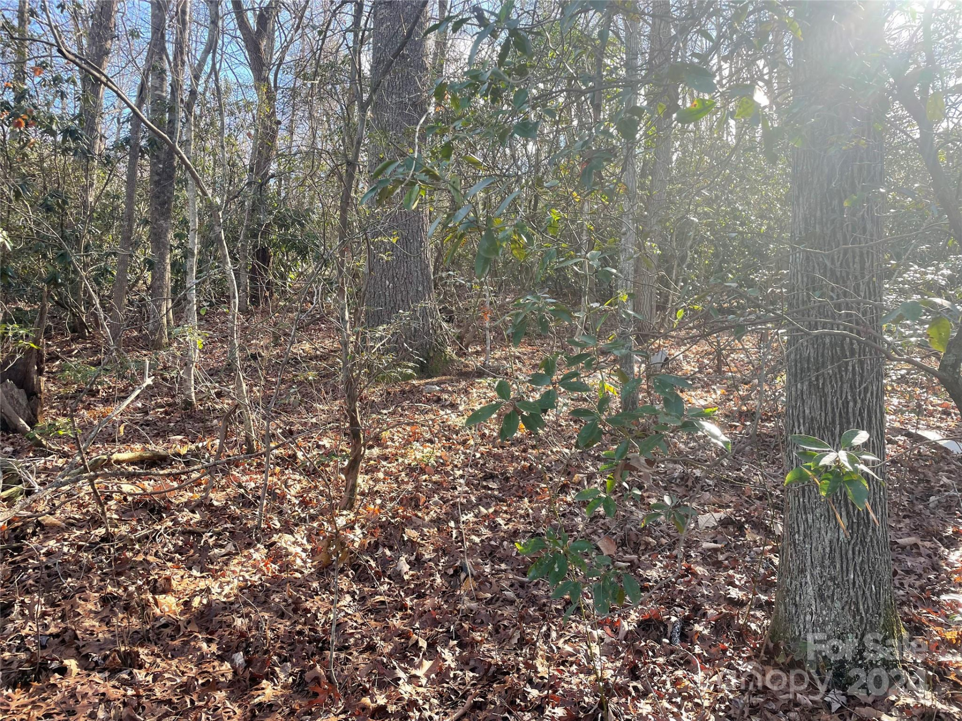 146 Center Street #9 & 10 - Photo 5