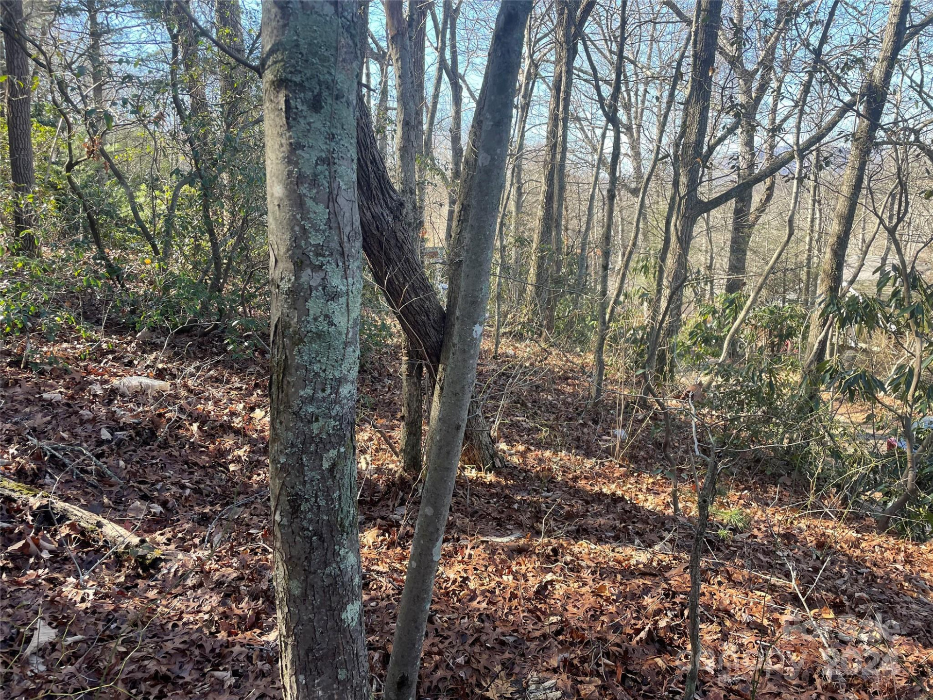 146 Center Street #9 & 10 - Photo 6