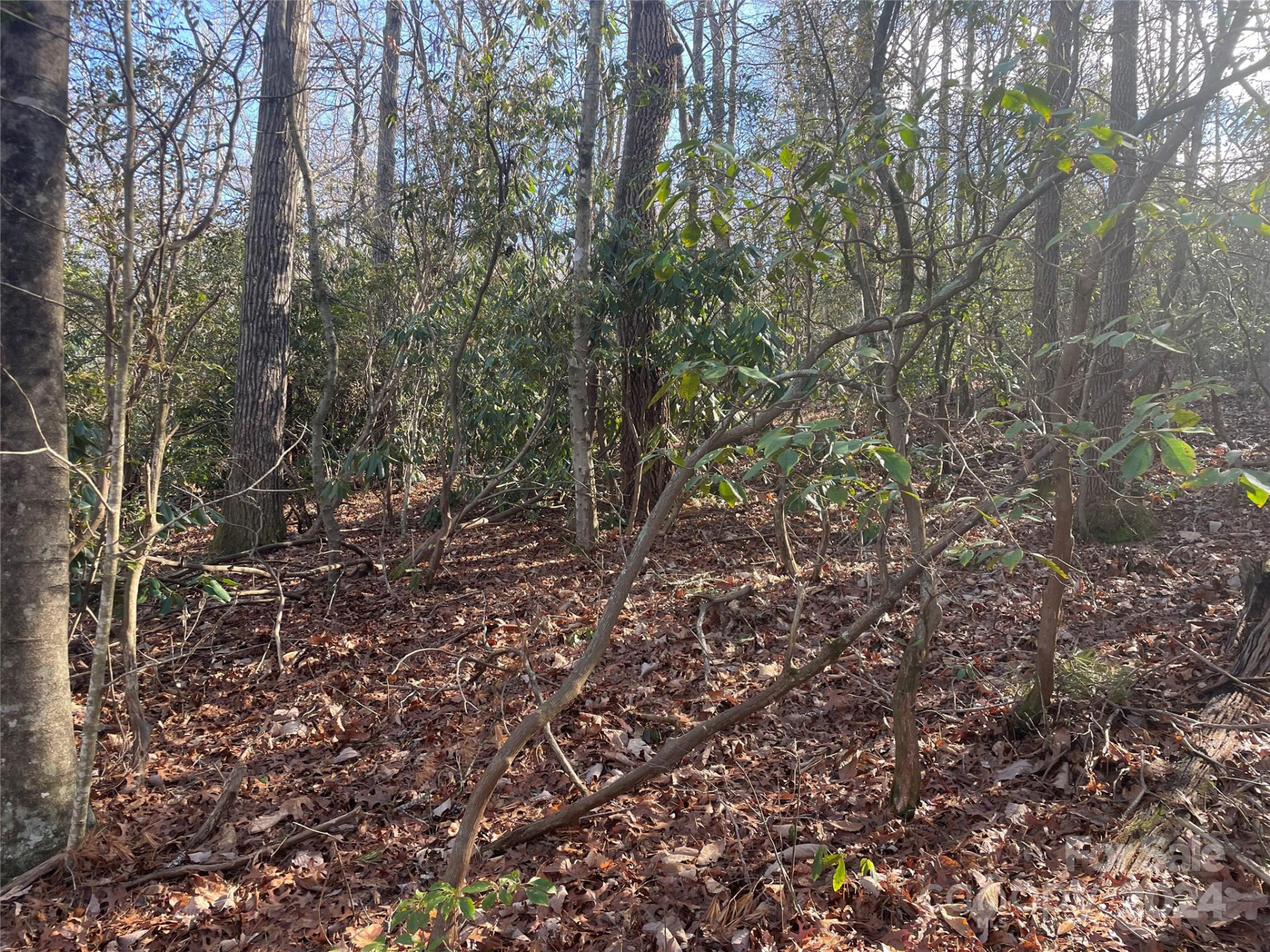 146 Center Street #9 & 10 - Photo 7