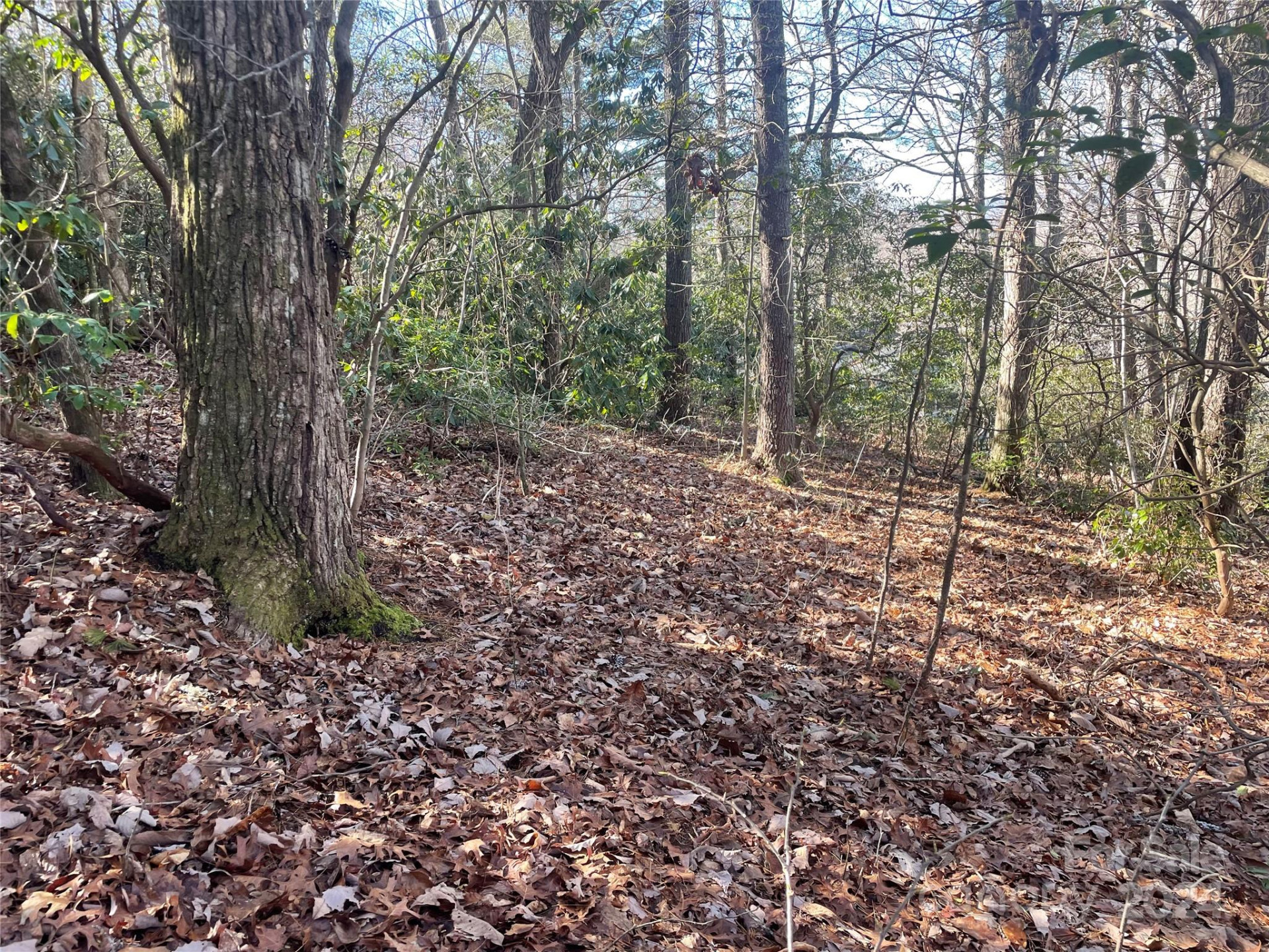 146 Center Street #9 & 10 - Photo 8