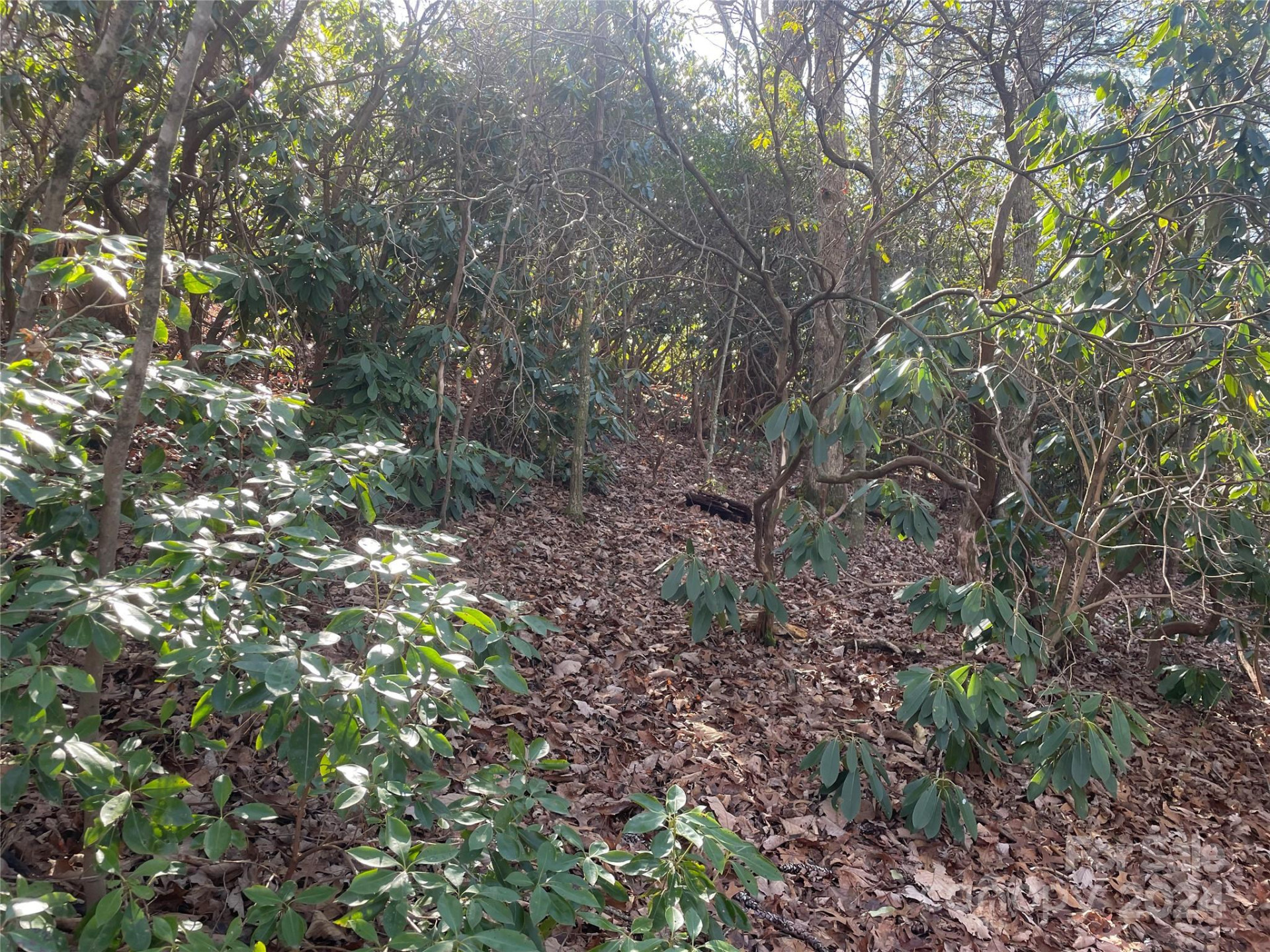 146 Center Street #9 & 10 - Photo 9