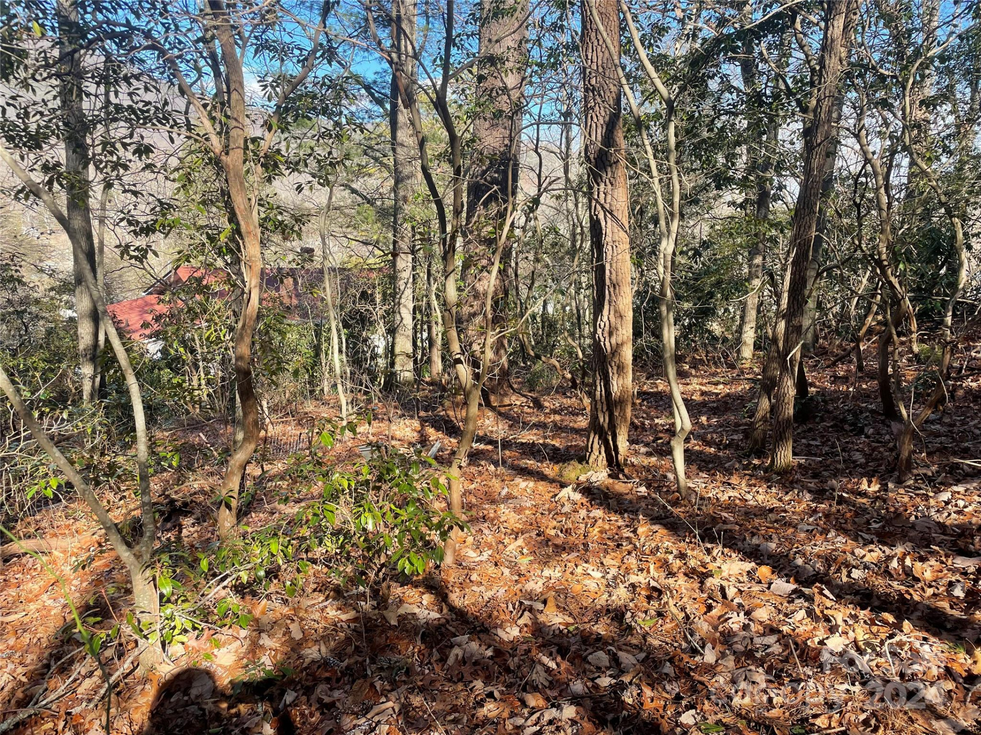 146 Center Street #9 & 10 - Photo 10