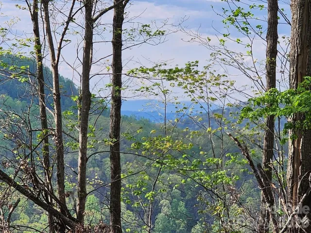 79 Longview Trail