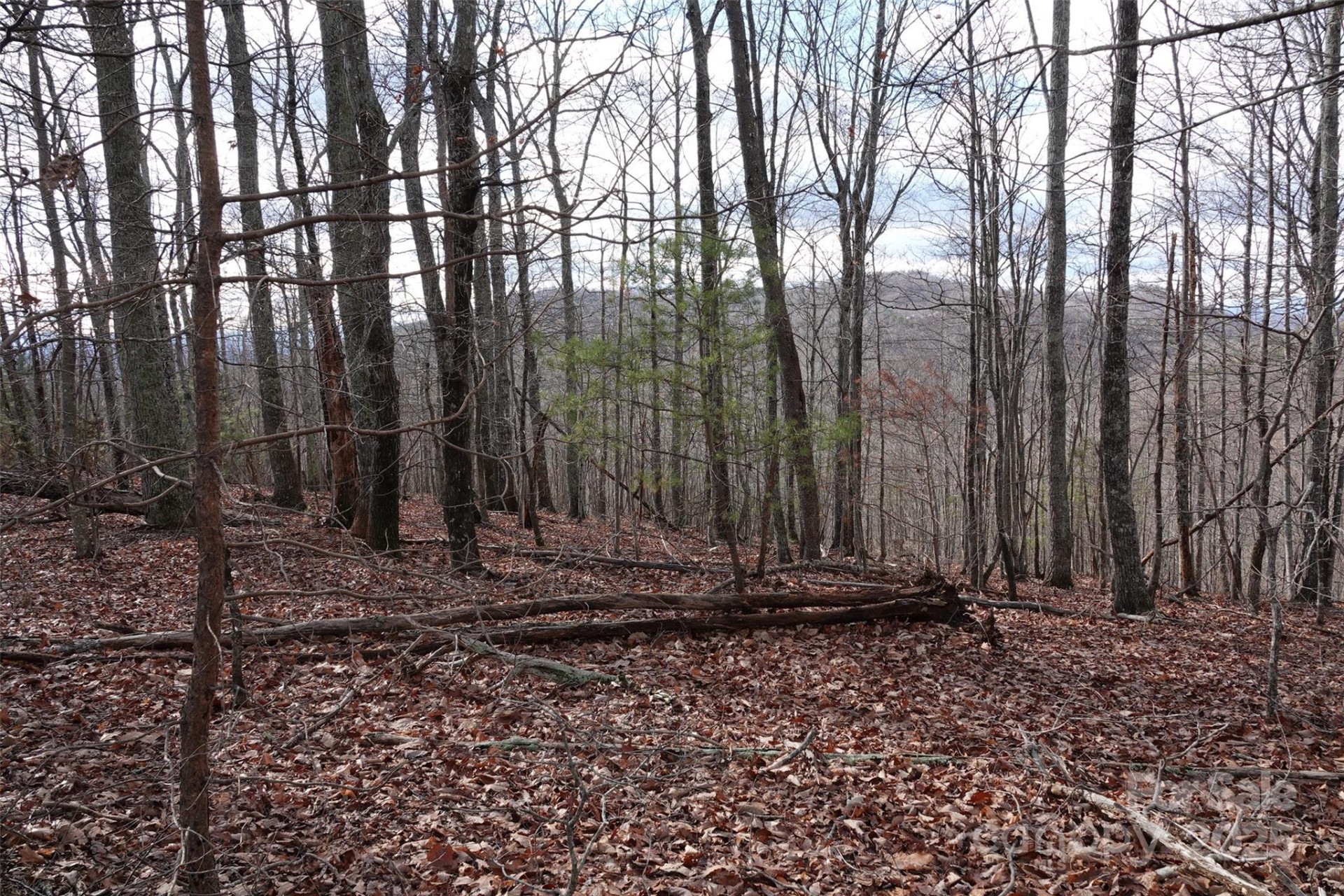 79 Longview Trail - Photo 11