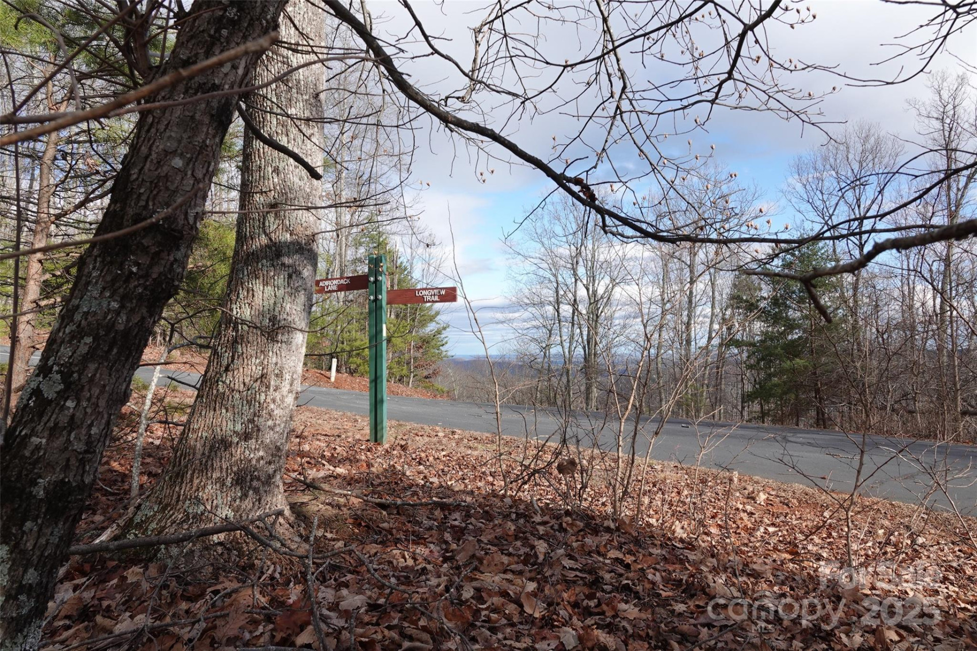 79 Longview Trail - Photo 12