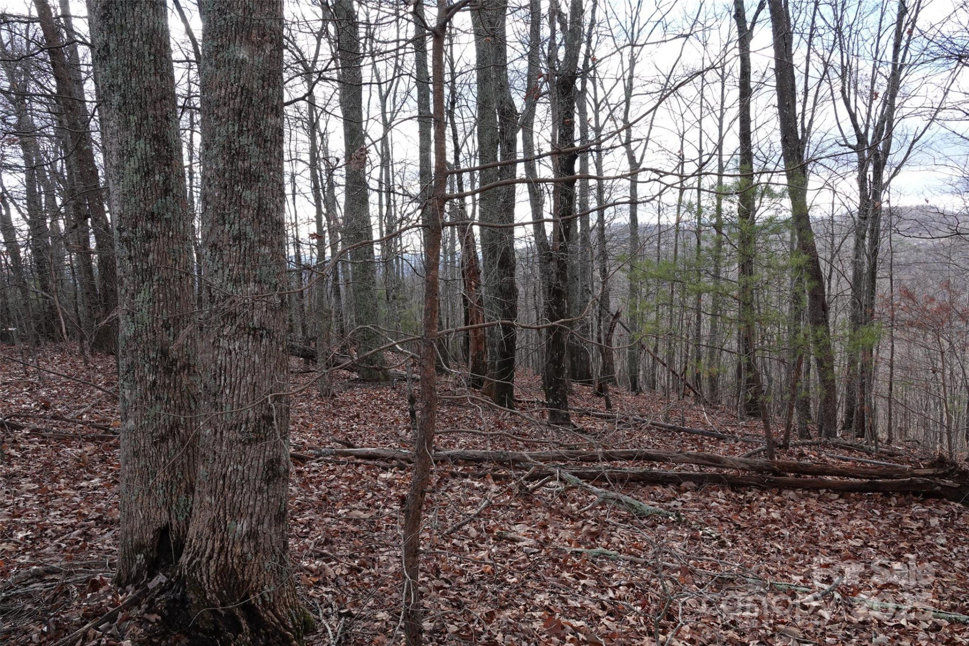 79 Longview Trail - Photo 3