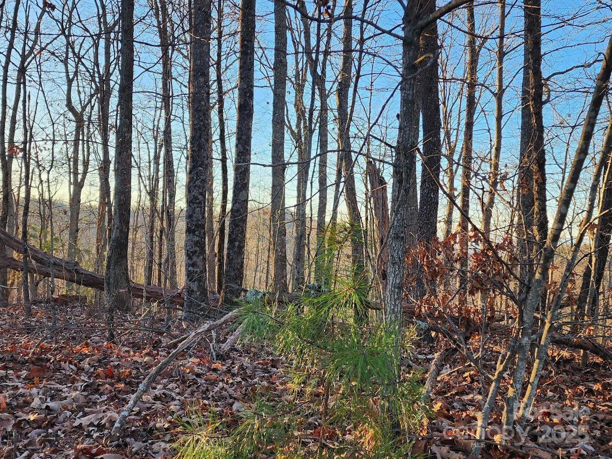 79 Longview Trail - Photo 28