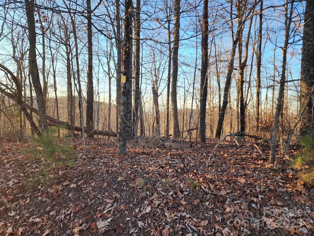 79 Longview Trail - Photo 30