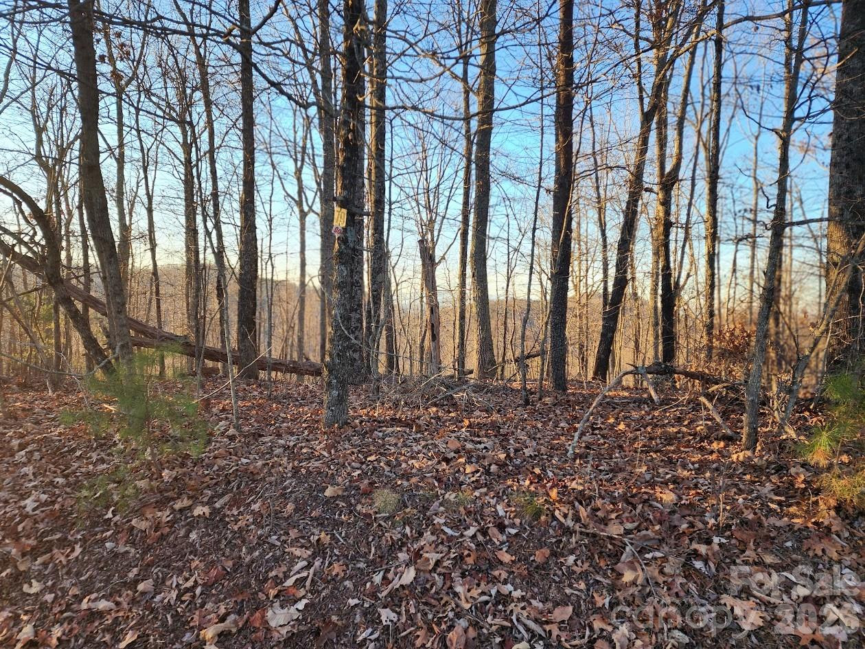 79 Longview Trail - Photo 62