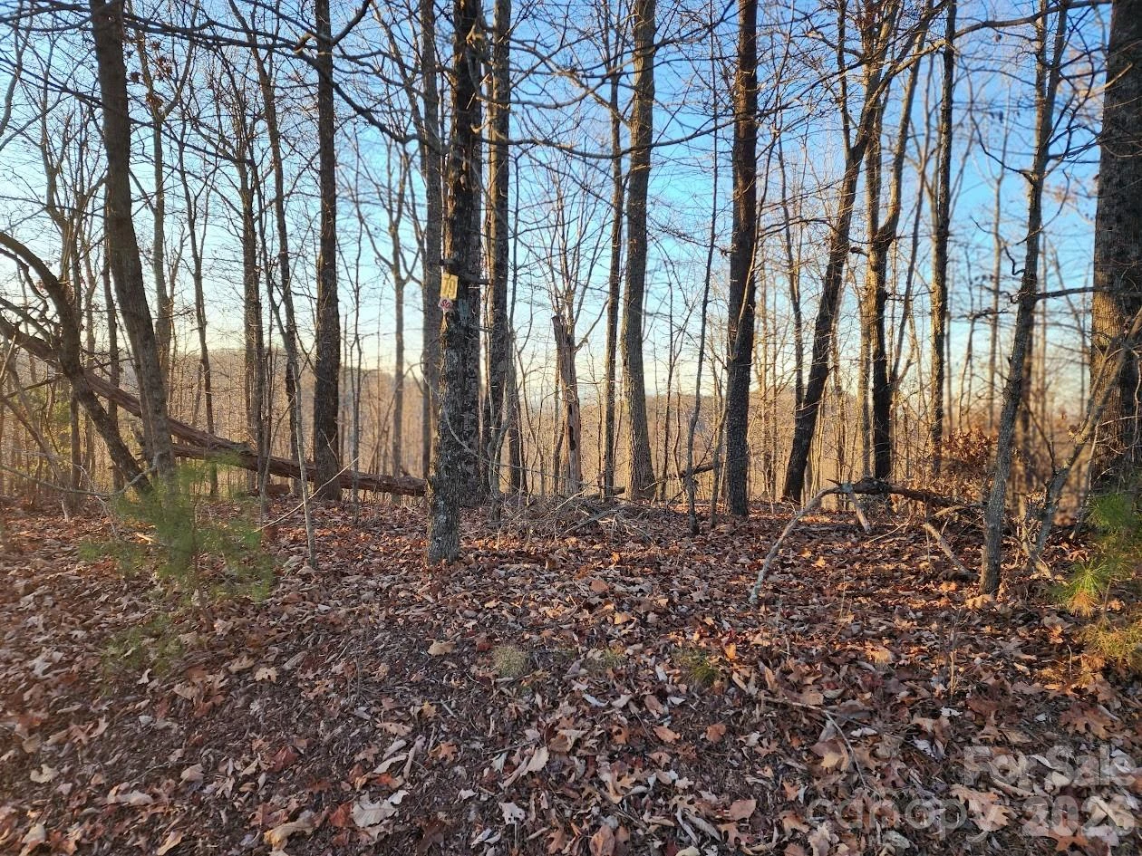 79 Longview Trail - Photo 32