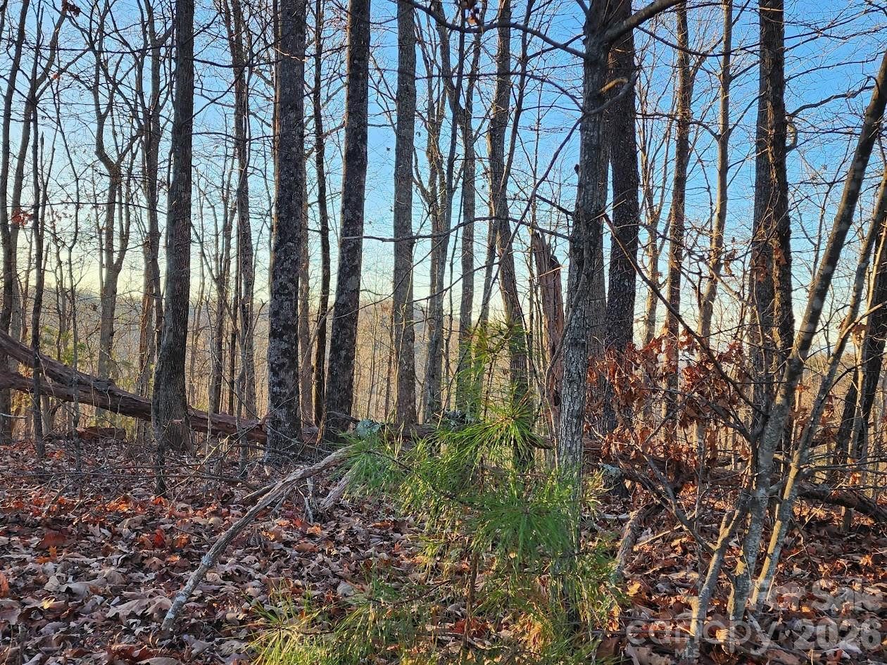 79 Longview Trail - Photo 63