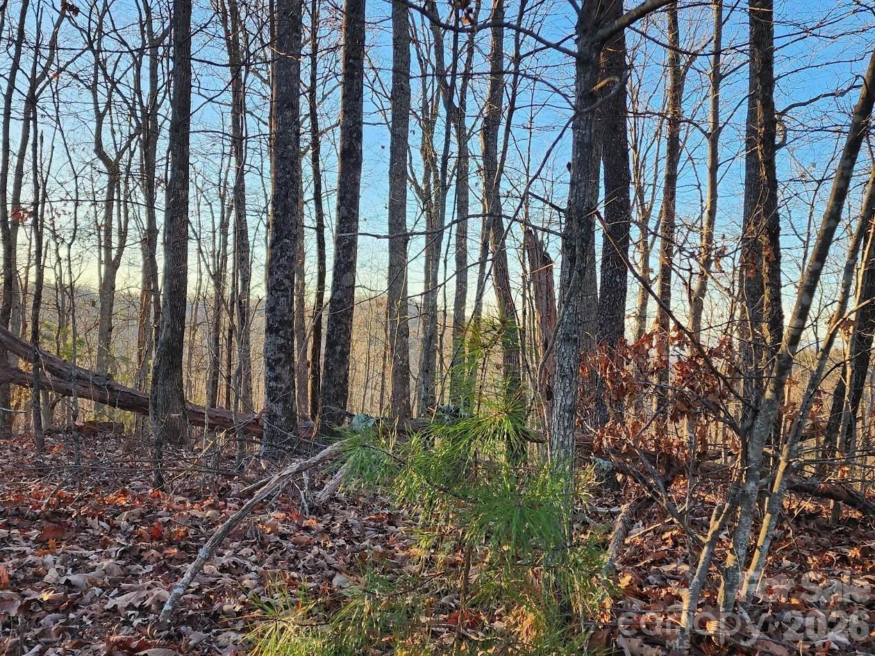 79 Longview Trail - Photo 33