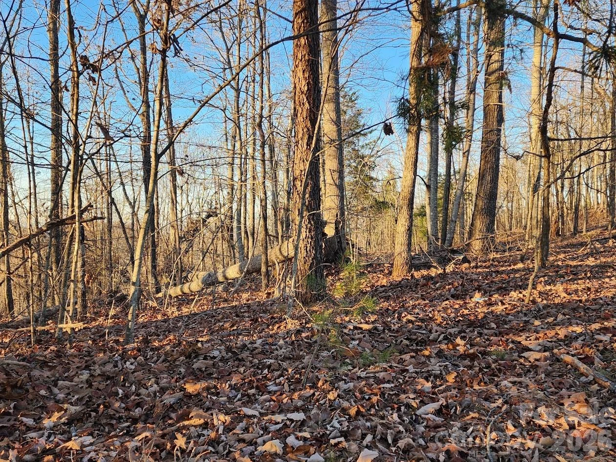 79 Longview Trail - Photo 34