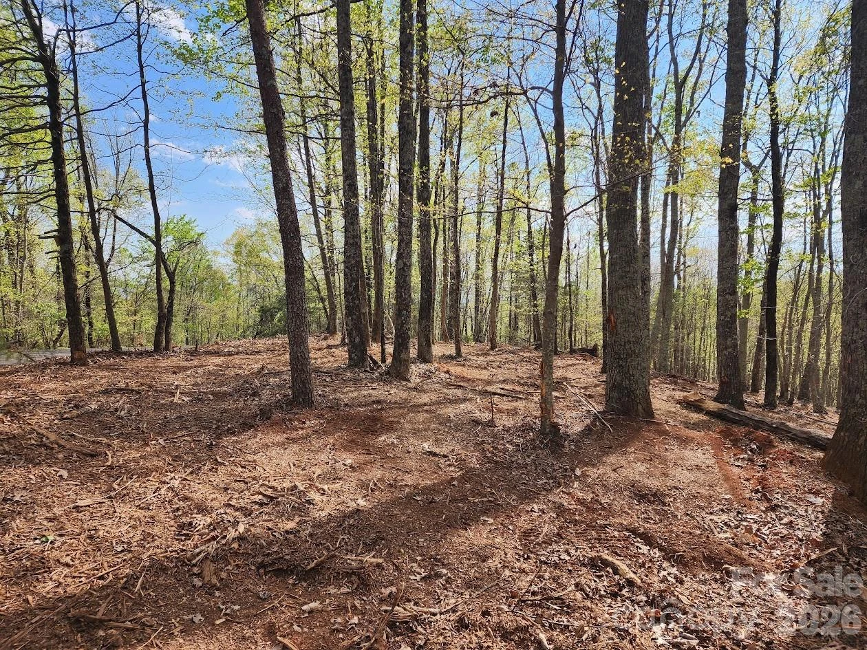 79 Longview Trail - Photo 36