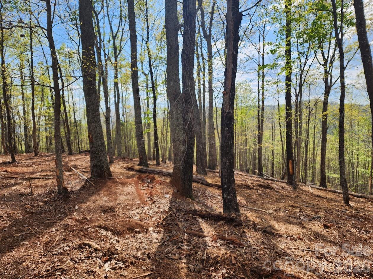 79 Longview Trail - Photo 67