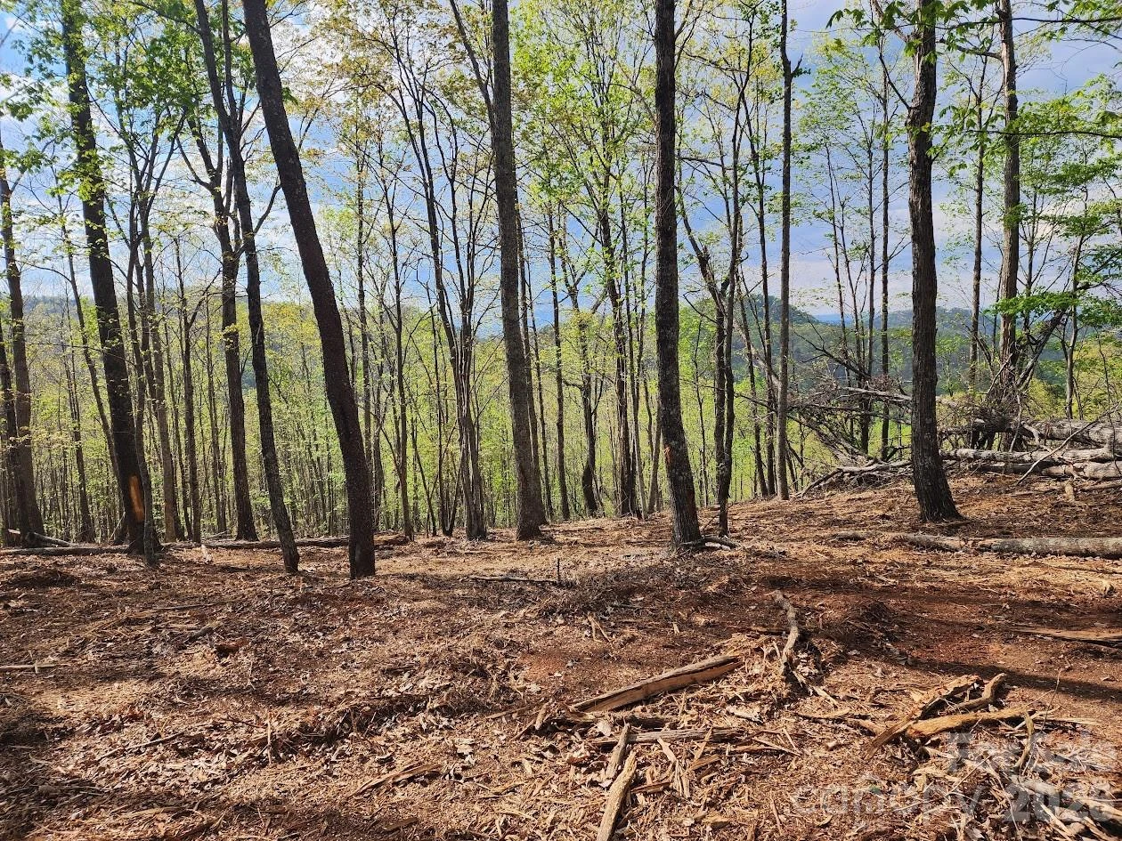 79 Longview Trail - Photo 38