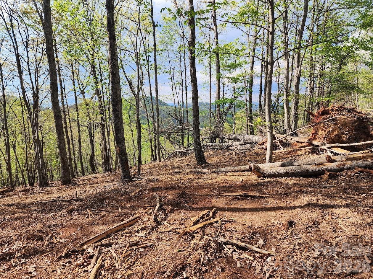 79 Longview Trail - Photo 69