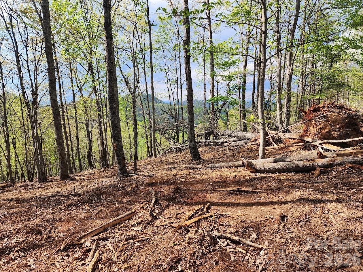 79 Longview Trail - Photo 39
