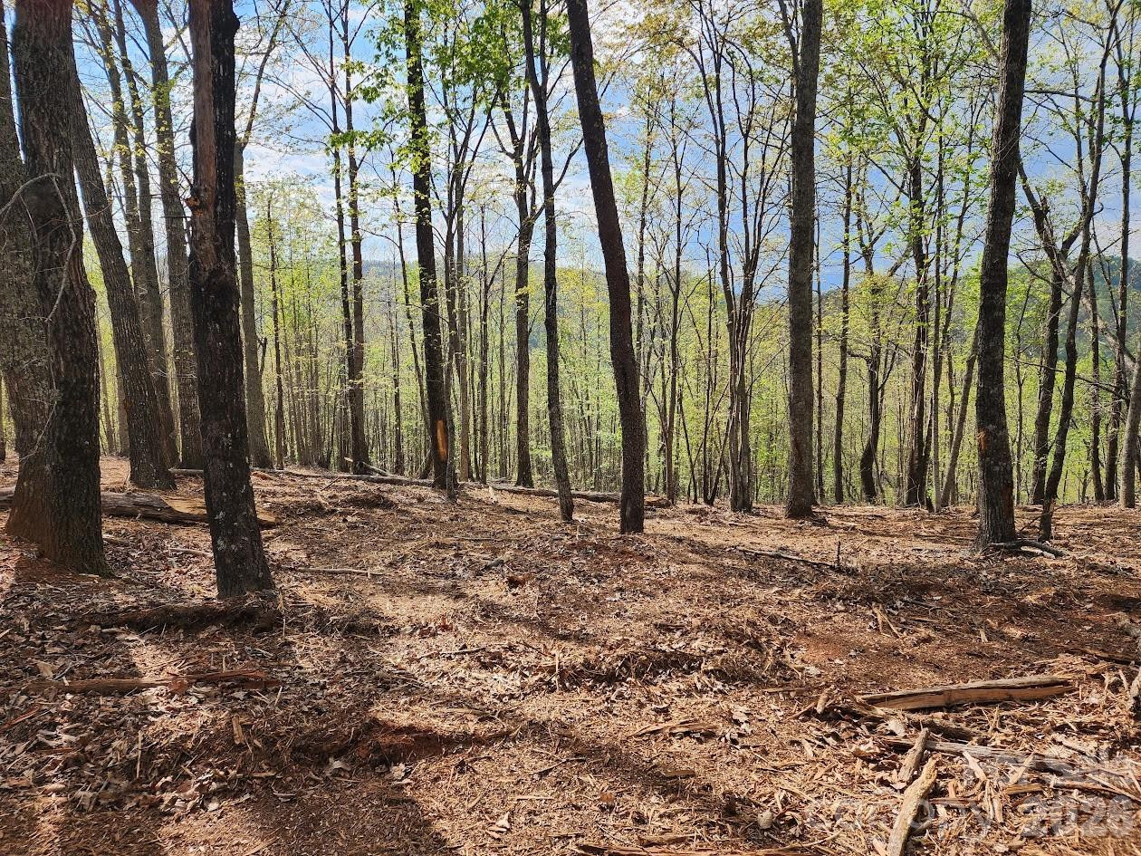 79 Longview Trail - Photo 70