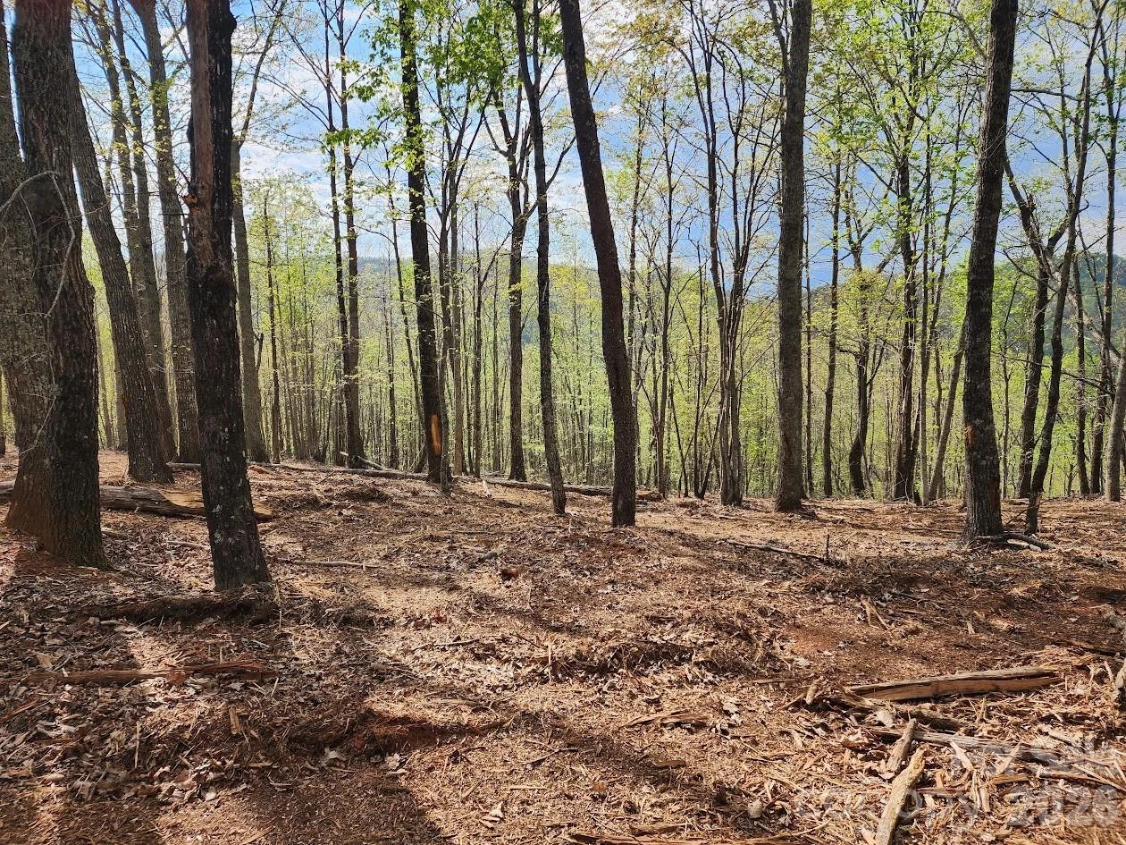 79 Longview Trail - Photo 40
