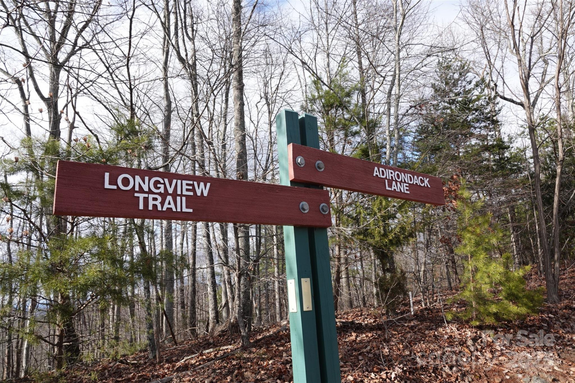 79 Longview Trail - Photo 5