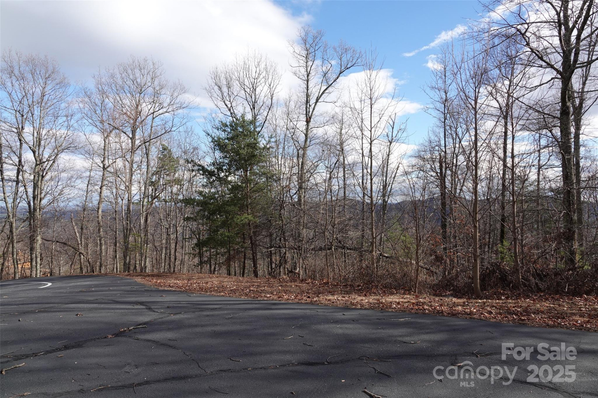 79 Longview Trail - Photo 7