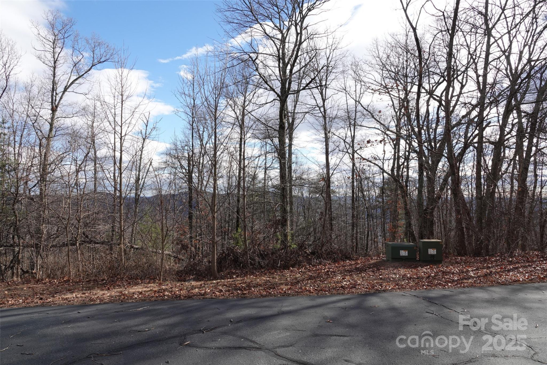 79 Longview Trail - Photo 8