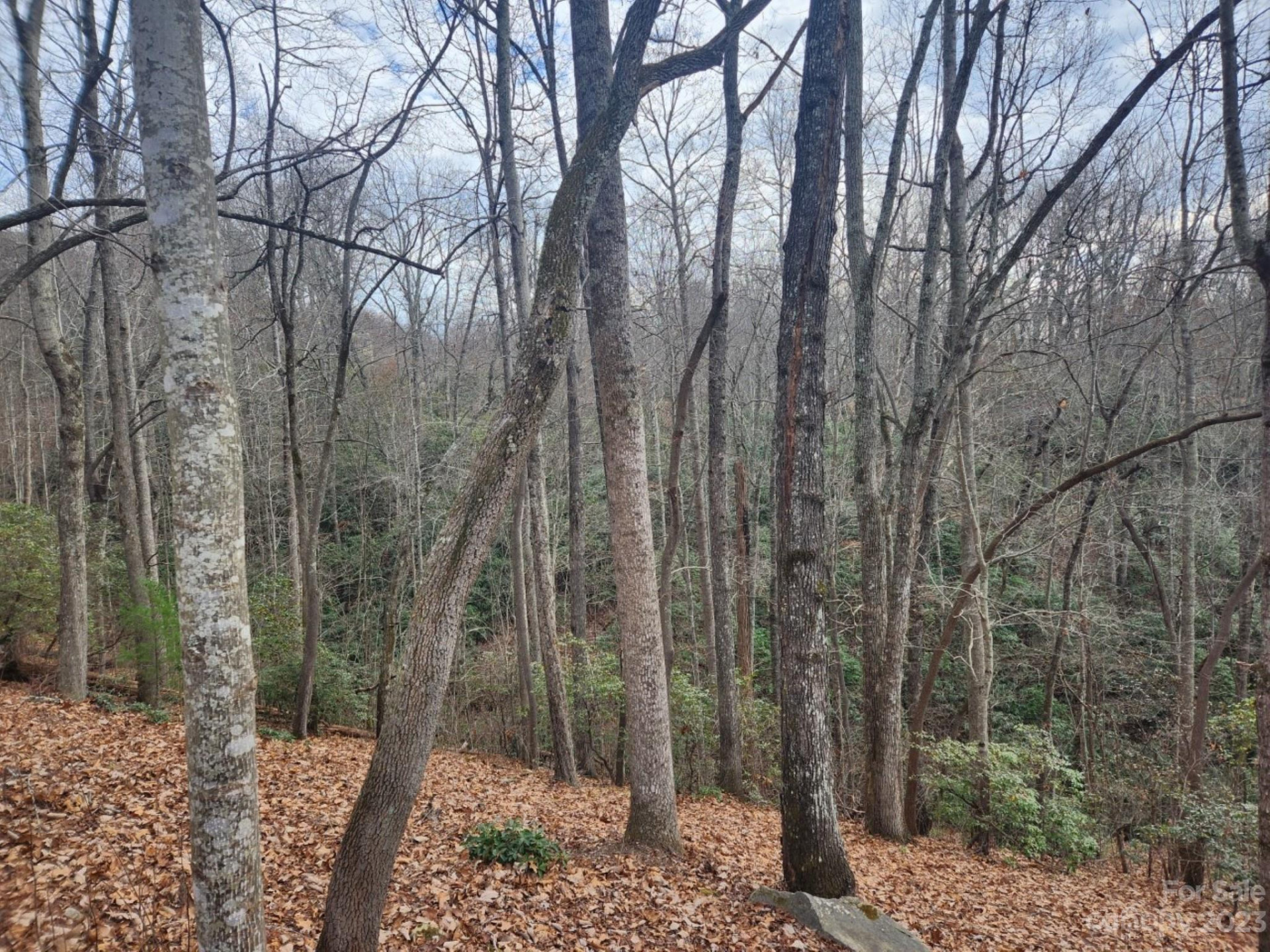 145 Ivywood Lane #10 - Photo 11