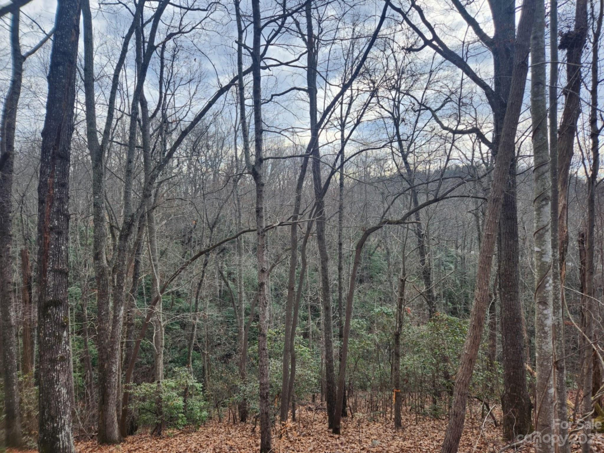 145 Ivywood Lane #10 - Photo 13