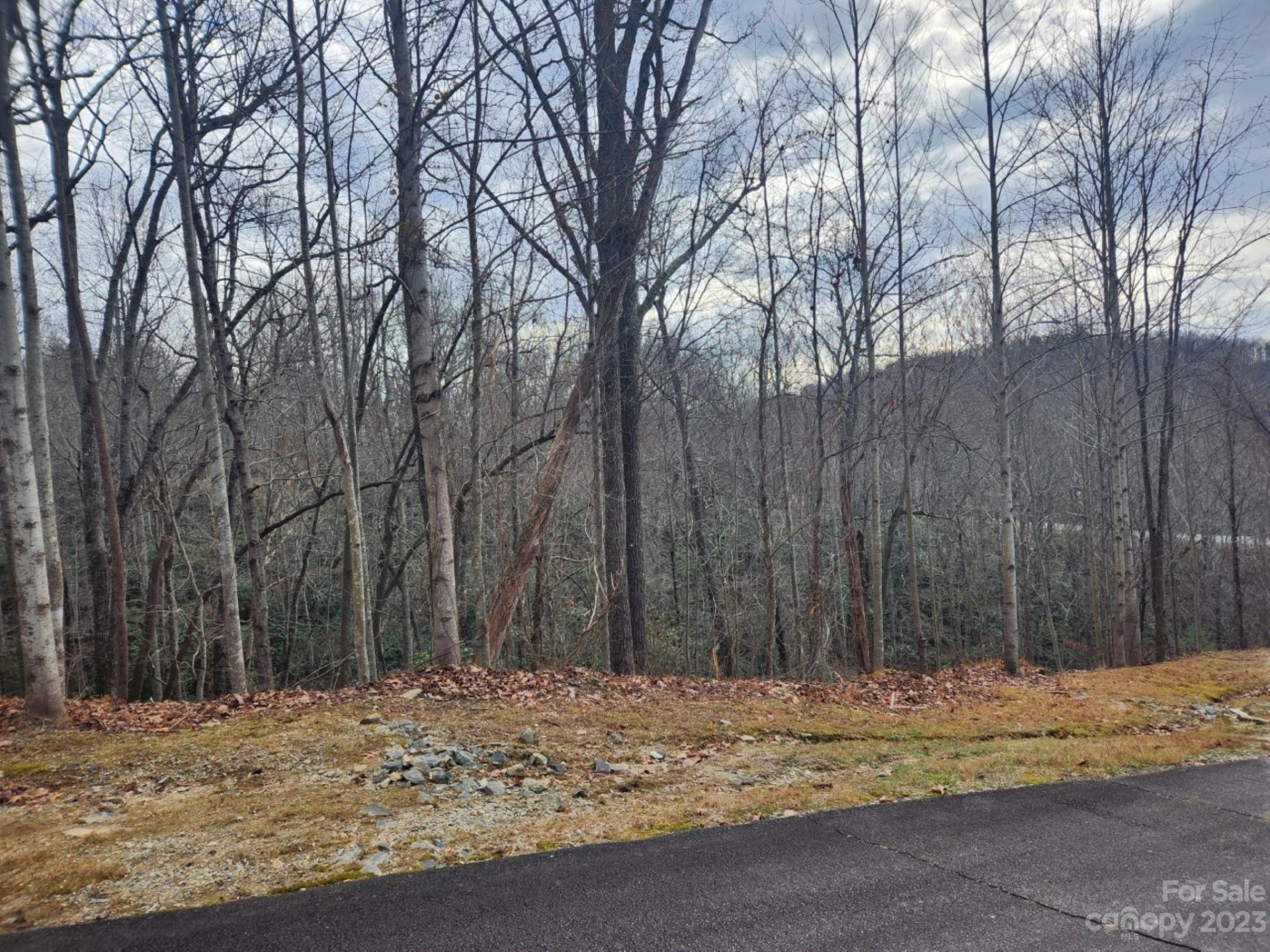 145 Ivywood Lane #10 - Photo 14