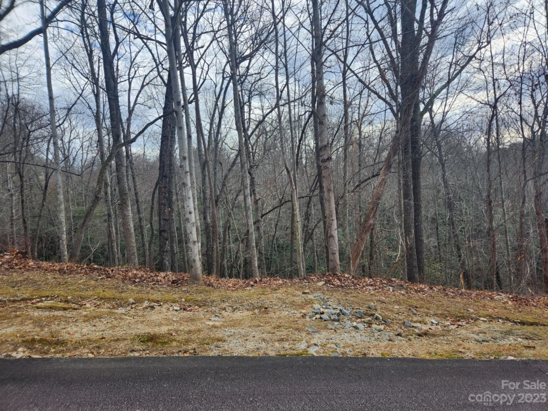 145 Ivywood Lane #10 - Photo 3