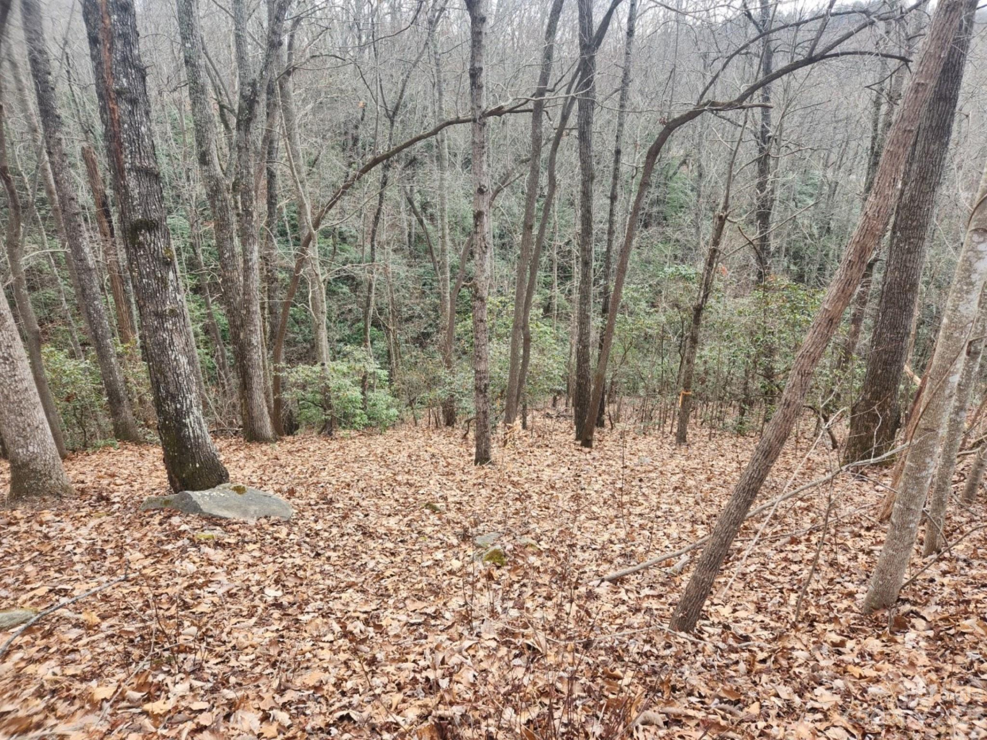 145 Ivywood Lane #10 - Photo 4