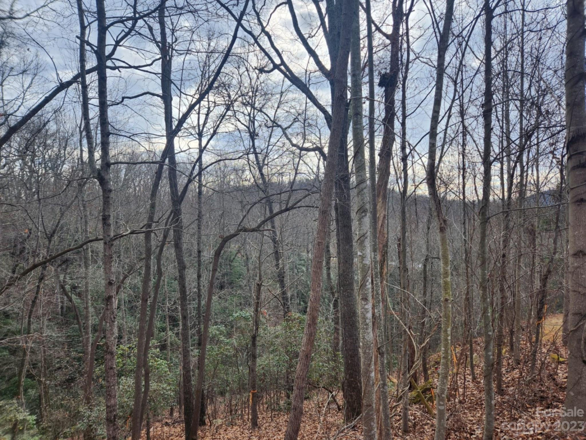 145 Ivywood Lane #10 - Photo 5