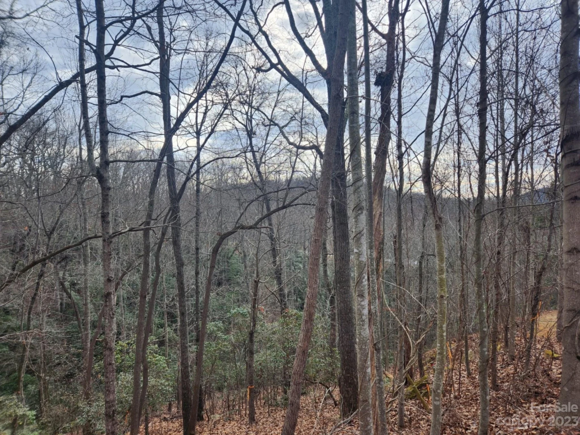 145 Ivywood Lane #10 - Photo 5