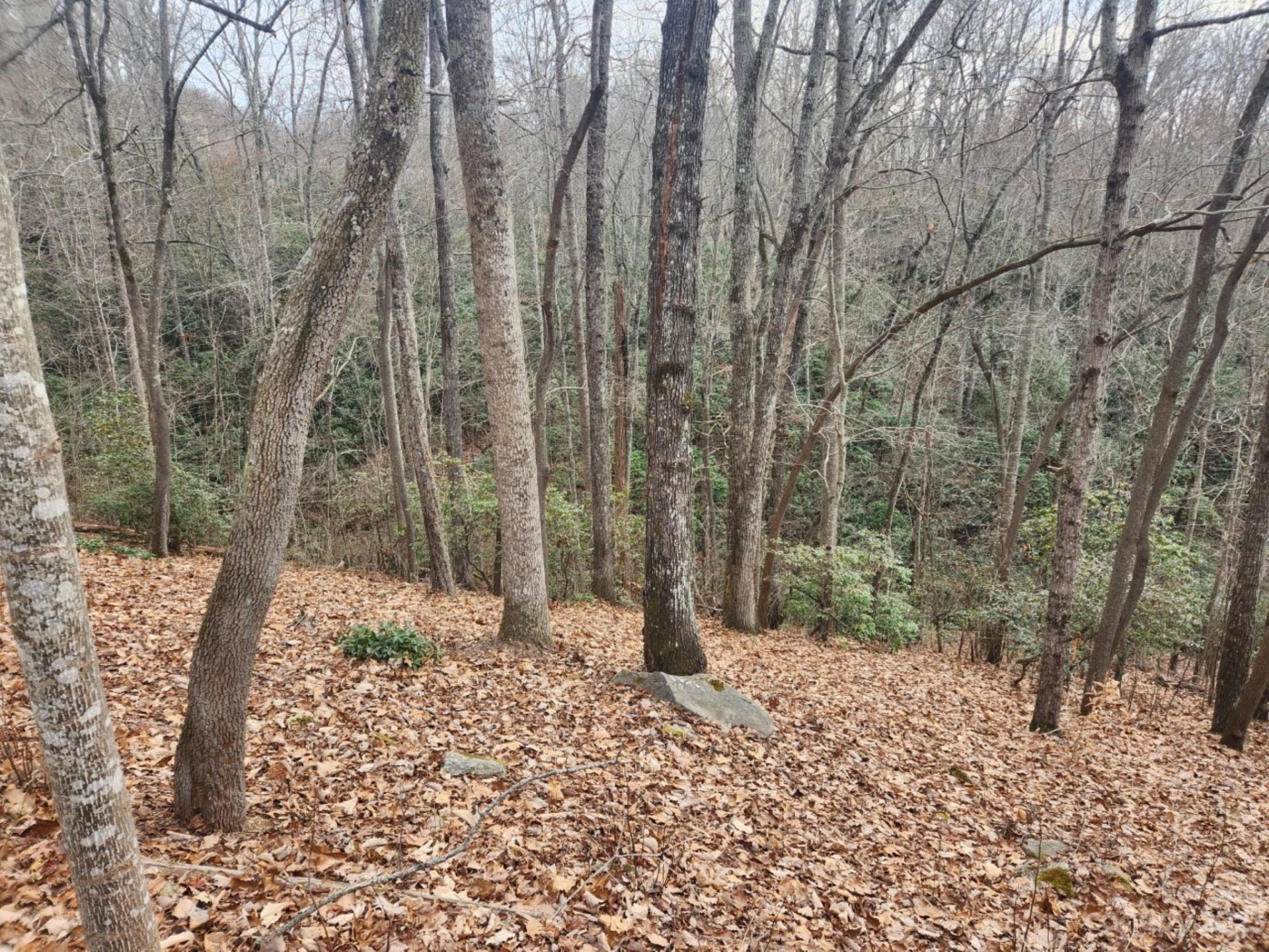 145 Ivywood Lane #10 - Photo 6