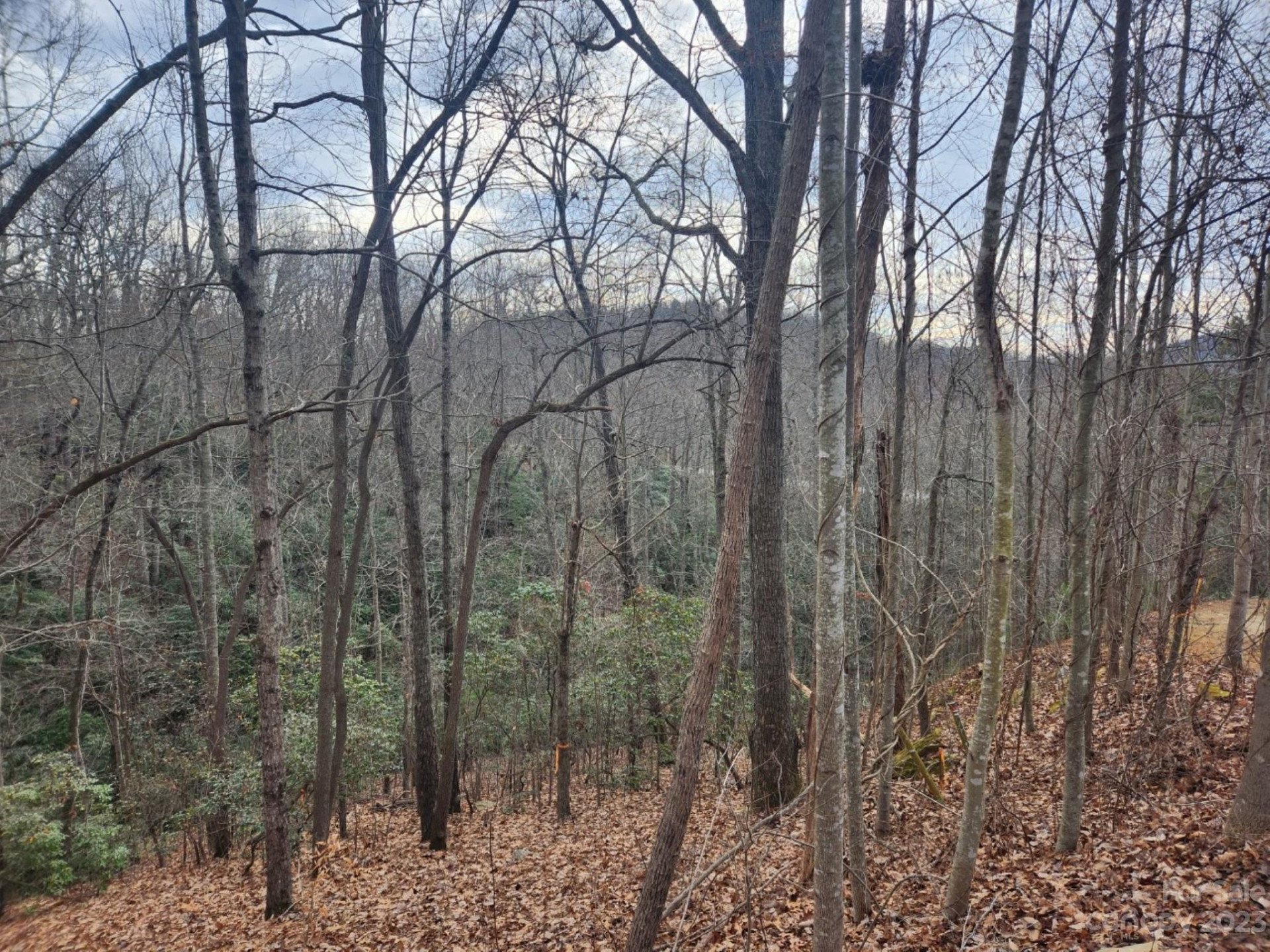 145 Ivywood Lane #10 - Photo 7