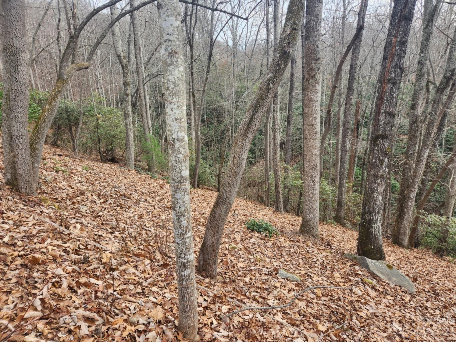 145 Ivywood Lane #10 - Photo 8