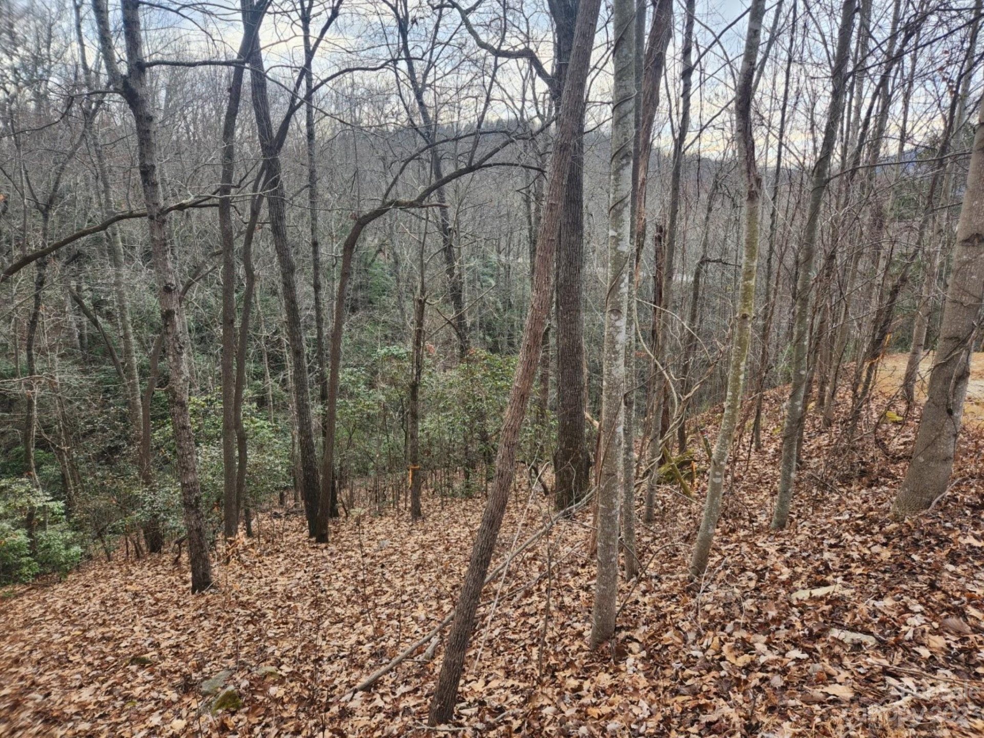 145 Ivywood Lane #10 - Photo 9