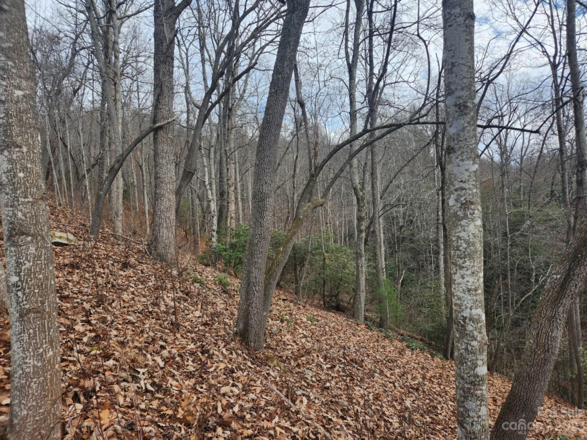 145 Ivywood Lane #10 - Photo 10