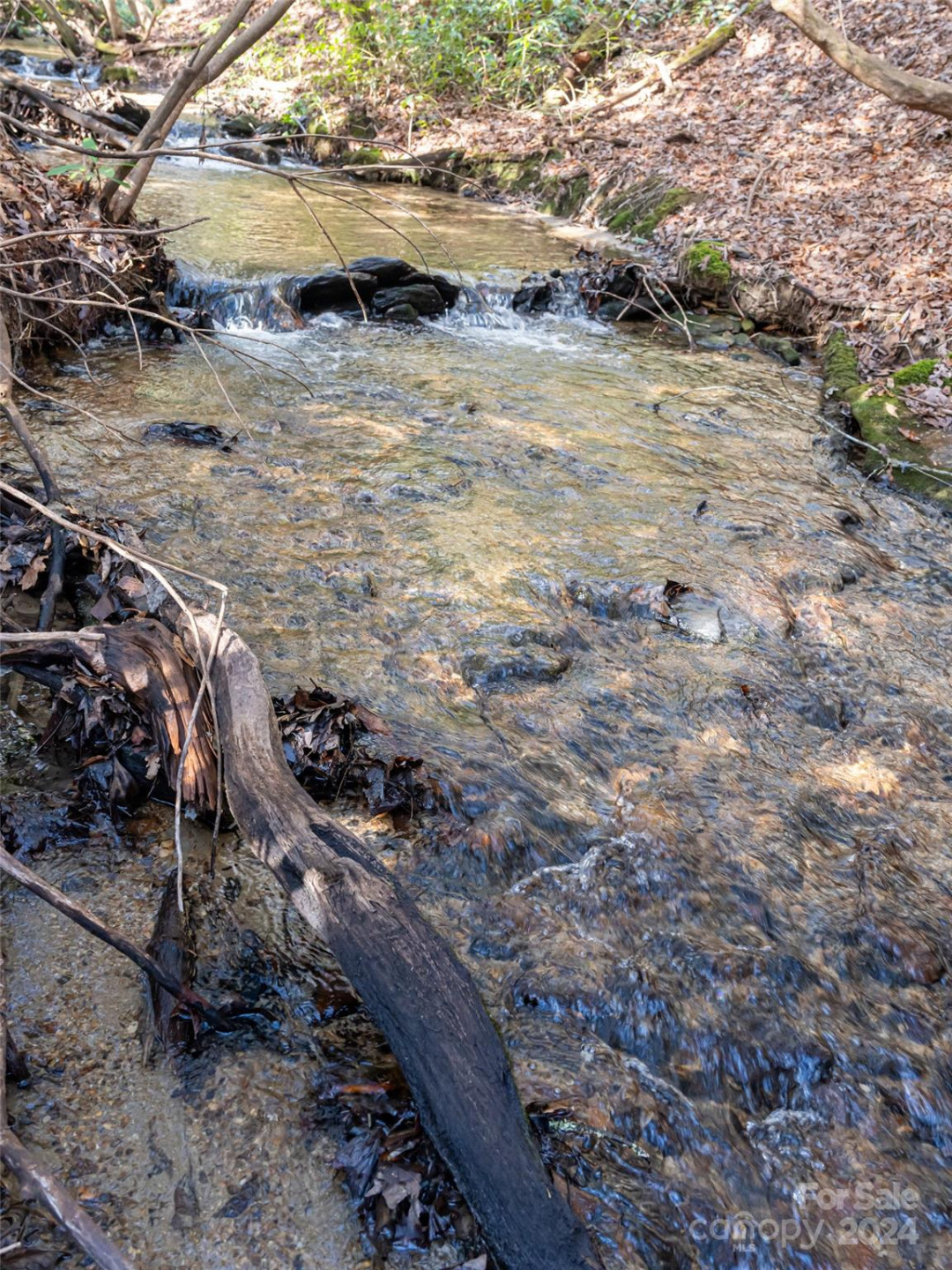 315 Garren Creek Road - Photo 38