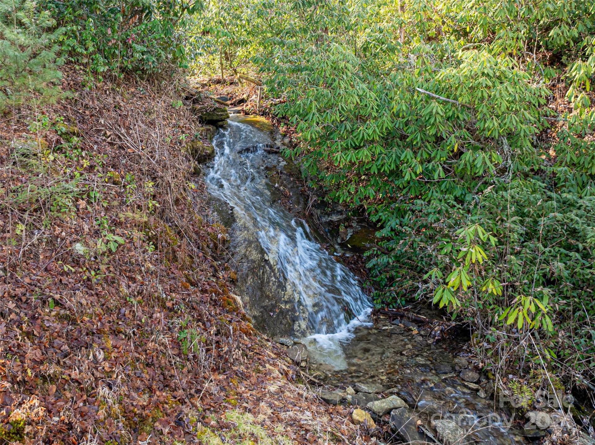 315 Garren Creek Road - Photo 6