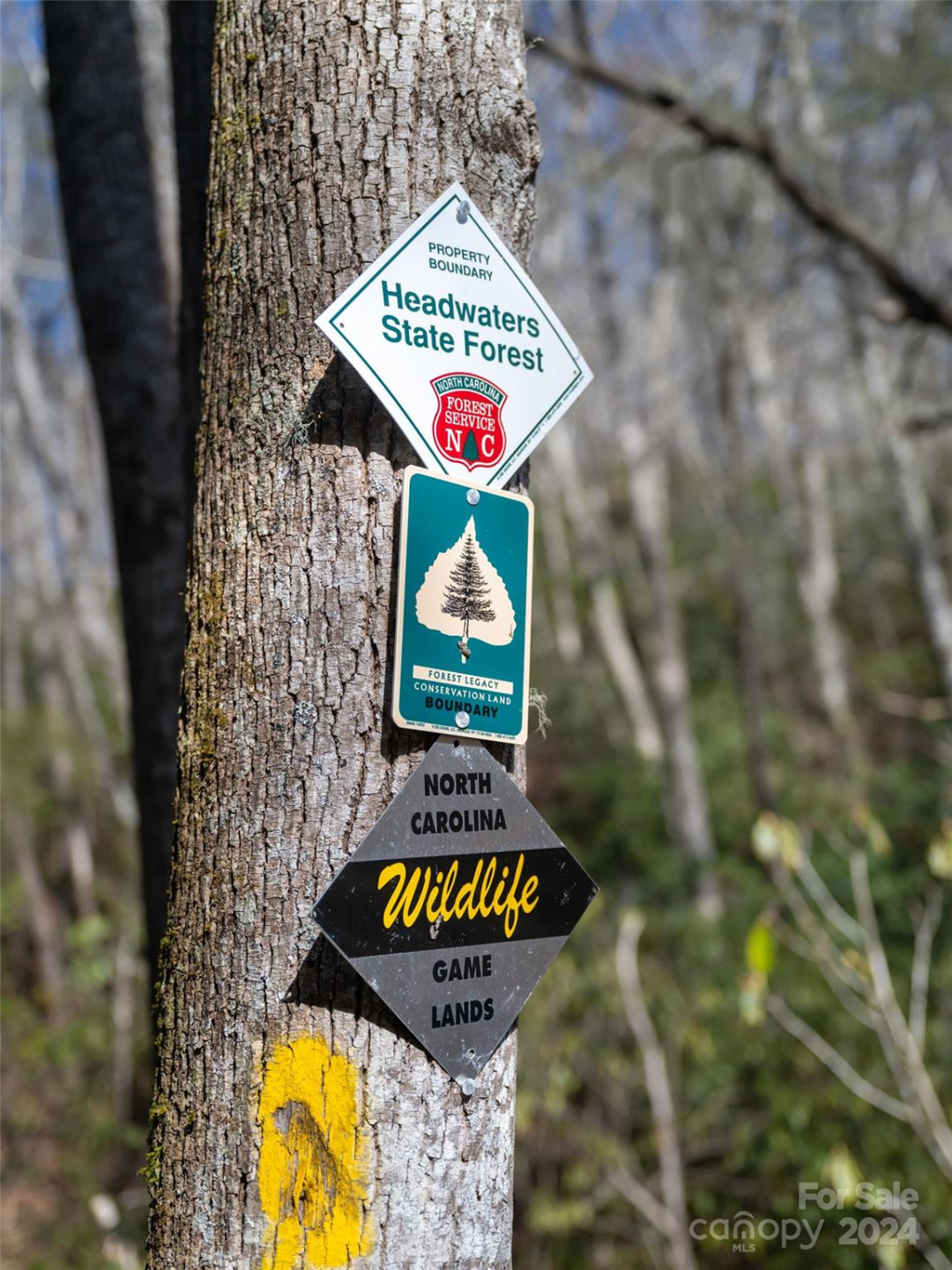 315 Garren Creek Road - Photo 7