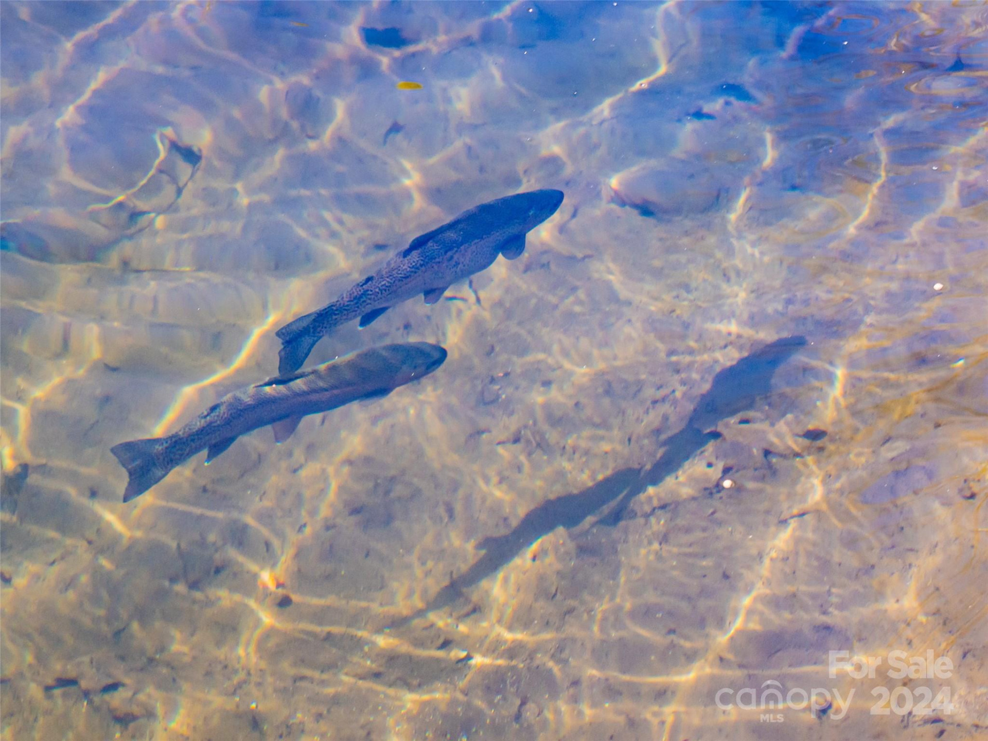 315 Garren Creek Road - Photo 8