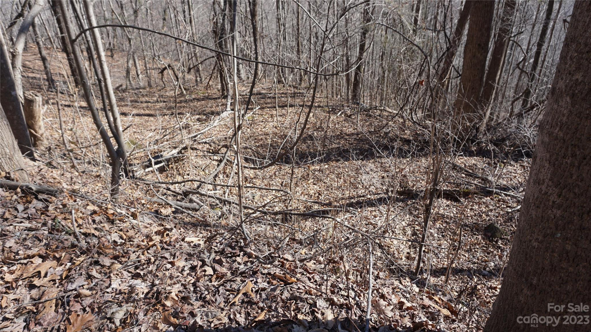 41 Pinnacle Parkway - Photo 11