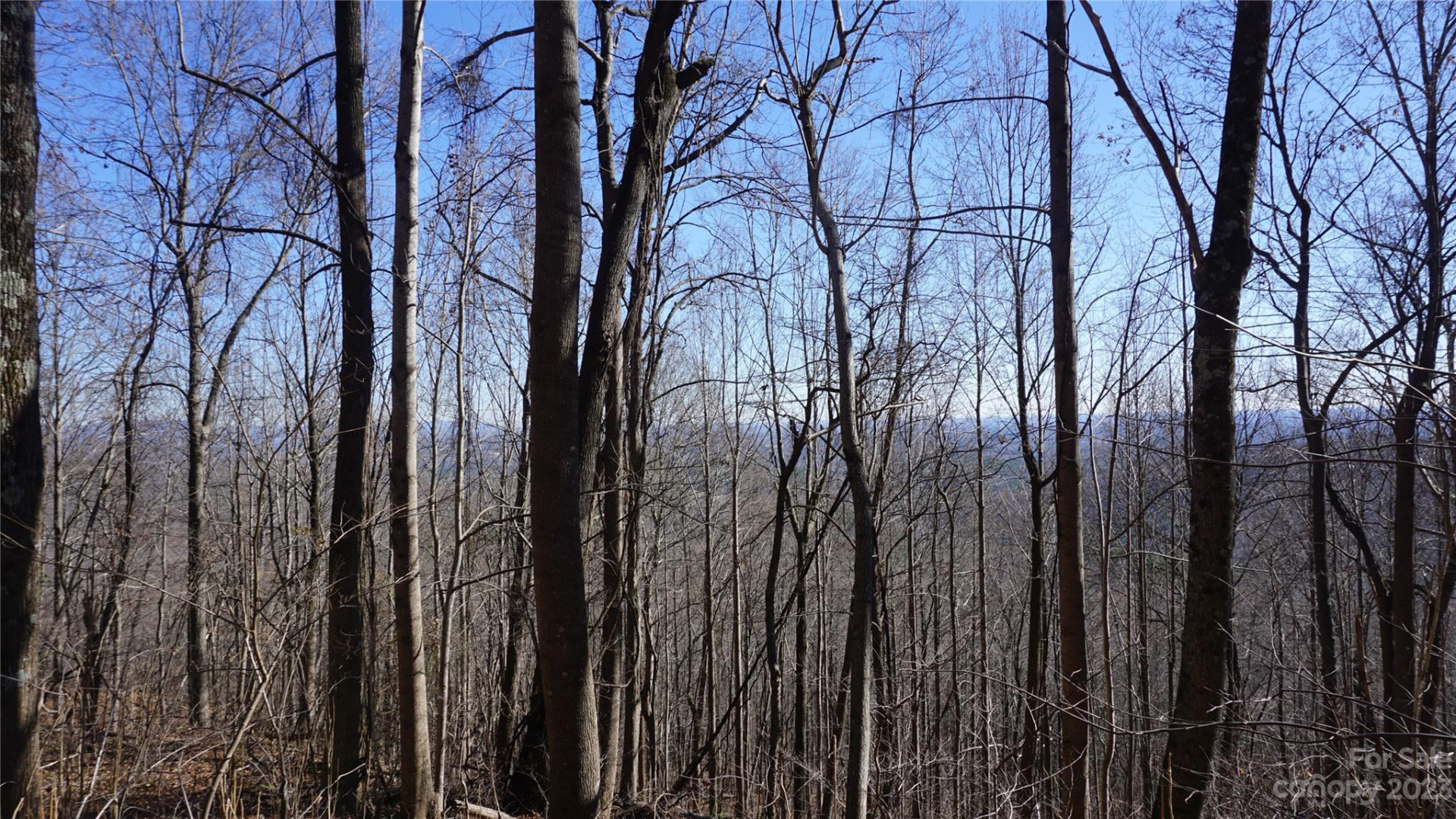 41 Pinnacle Parkway - Photo 12