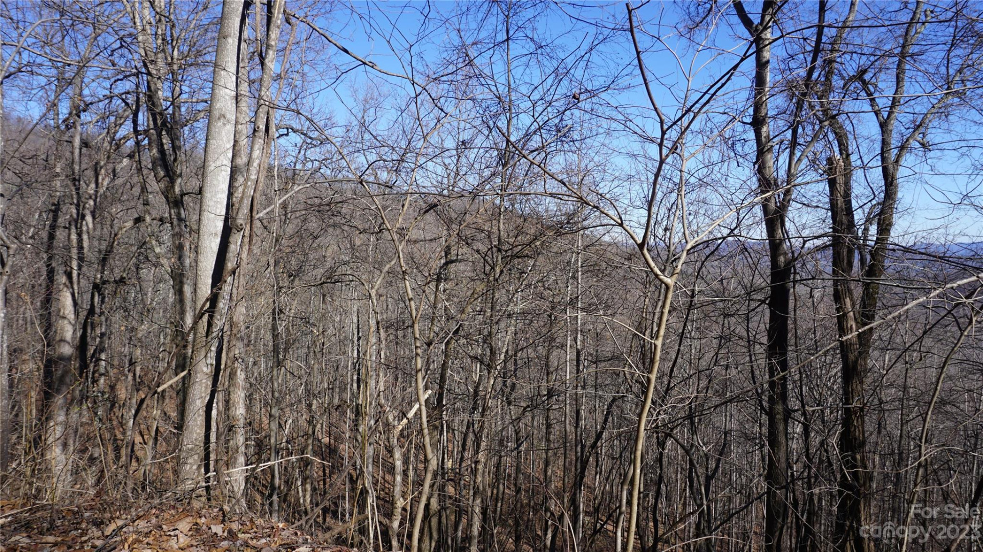 41 Pinnacle Parkway - Photo 14