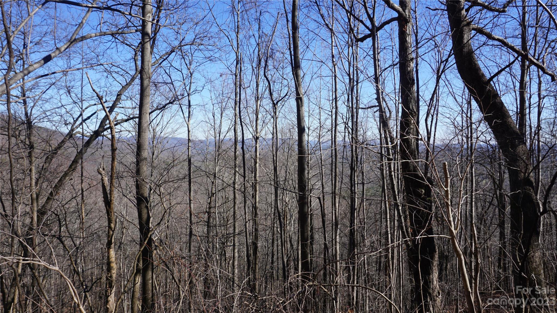 41 Pinnacle Parkway - Photo 15