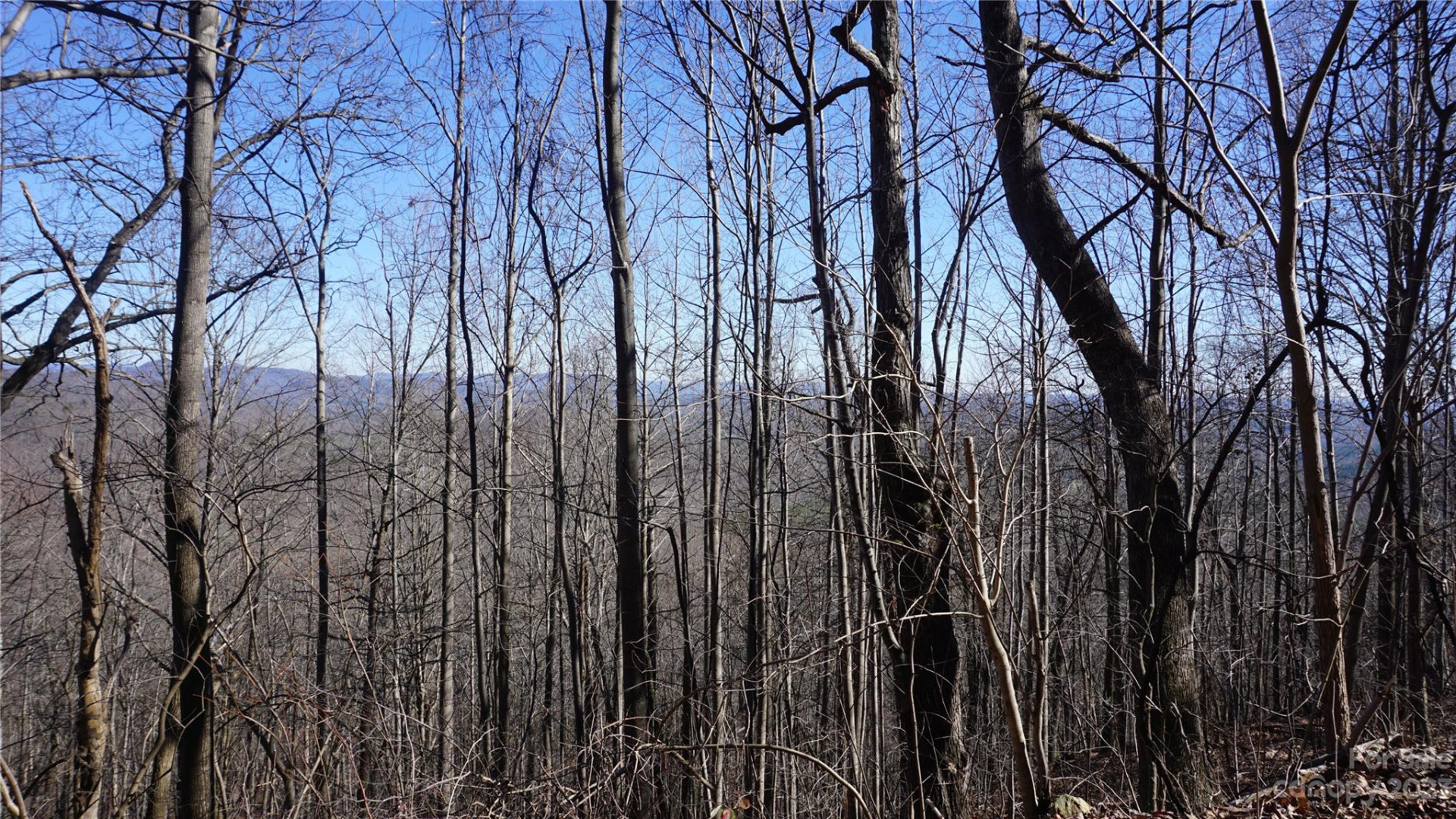 41 Pinnacle Parkway - Photo 16