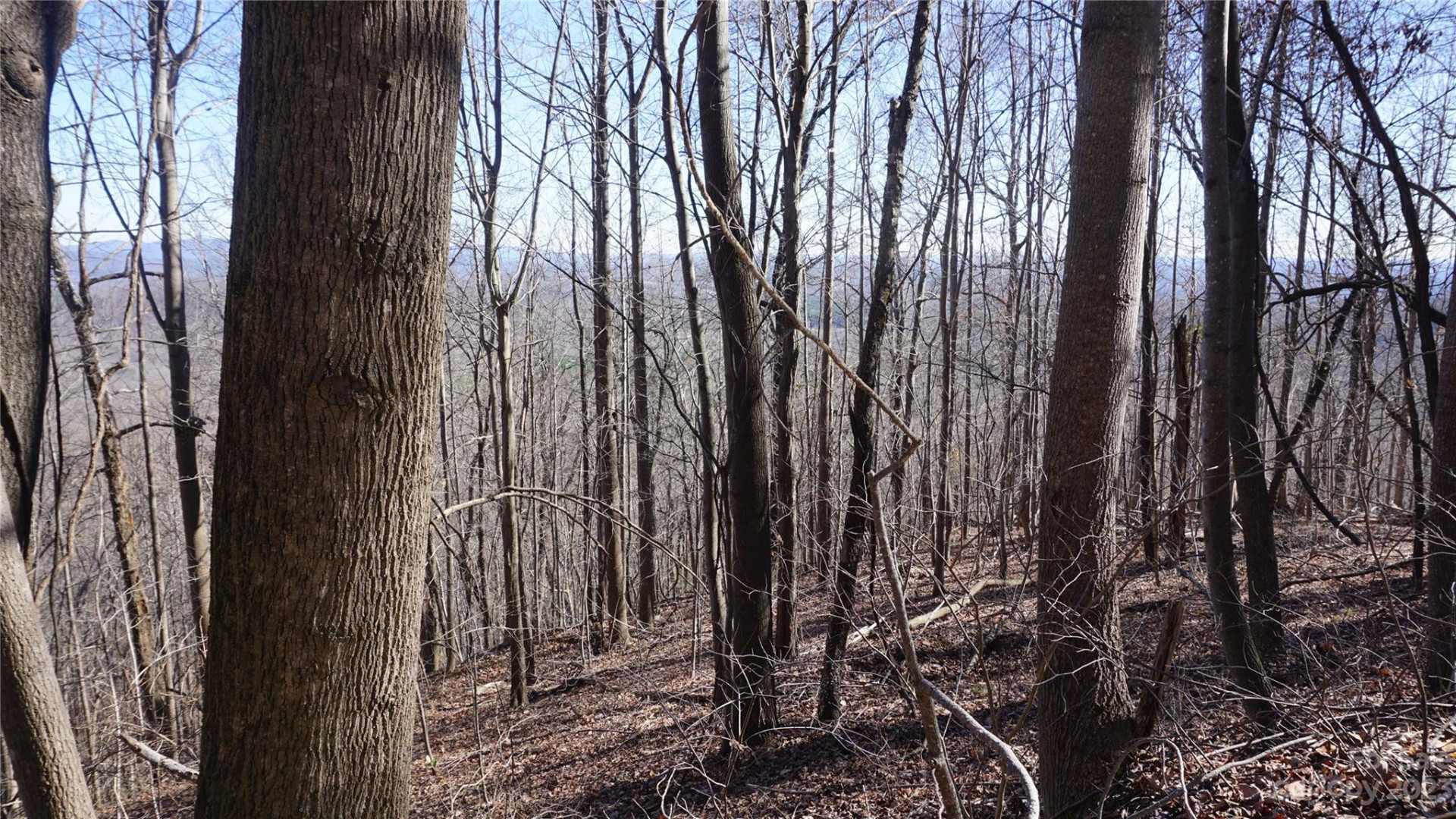 41 Pinnacle Parkway - Photo 17